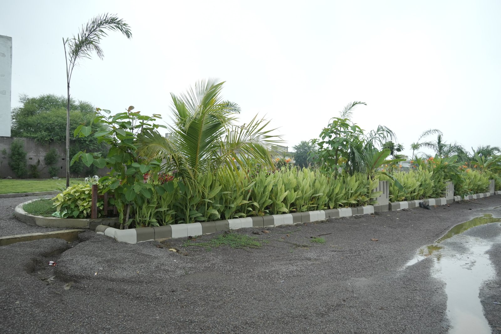 S G PARK Photo 1