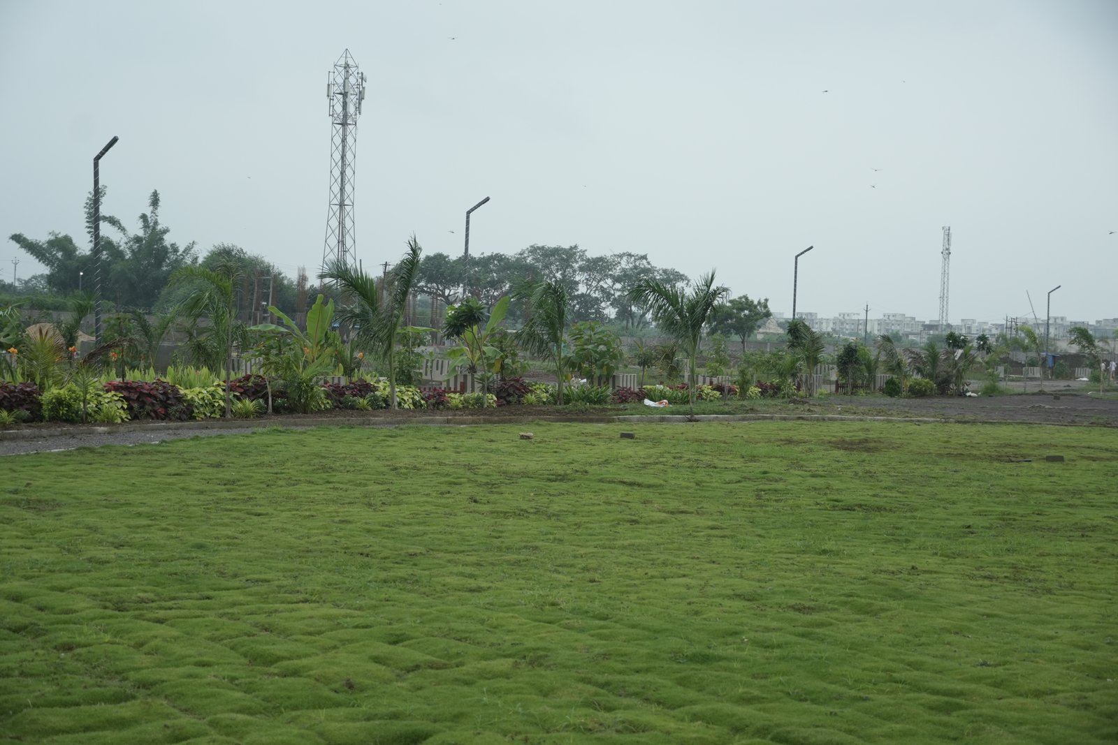S G PARK Photo 2